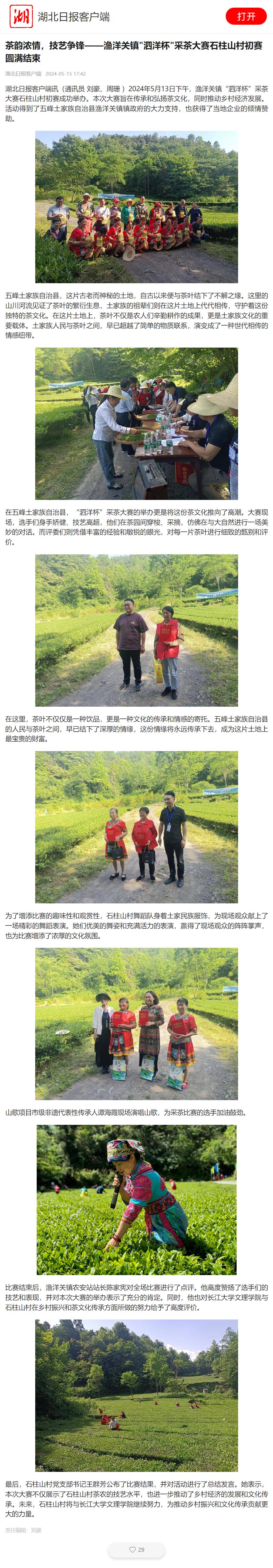 【湖北日报客户端】茶韵浓情,技艺争锋——渔洋关镇"泗洋杯"采茶大赛